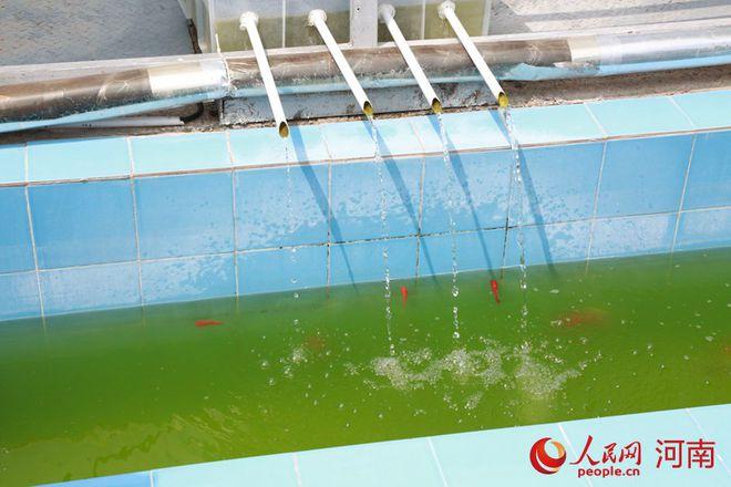 垃圾分类“后端处理”不掉队 餐厨垃圾处理的破局之道