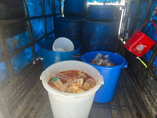 蓬江区厨余垃圾规范化处理指南 从源头到资源的全链条管理